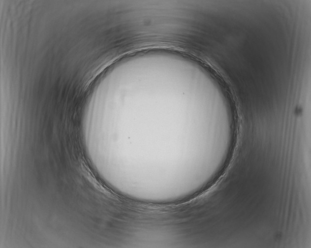 X0000116370969200912021006