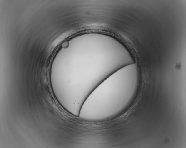X0000116370970200912021006