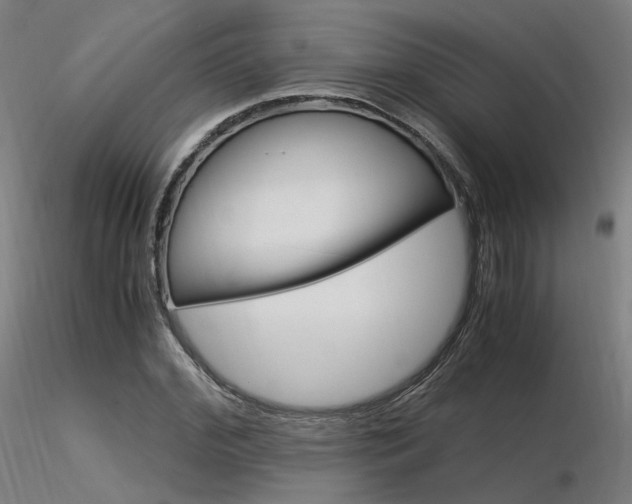 X0000116370972200912021006