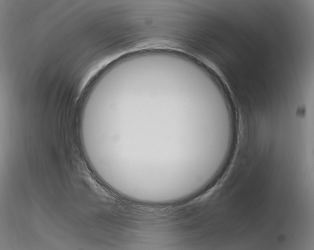 X0000116370973200912021006