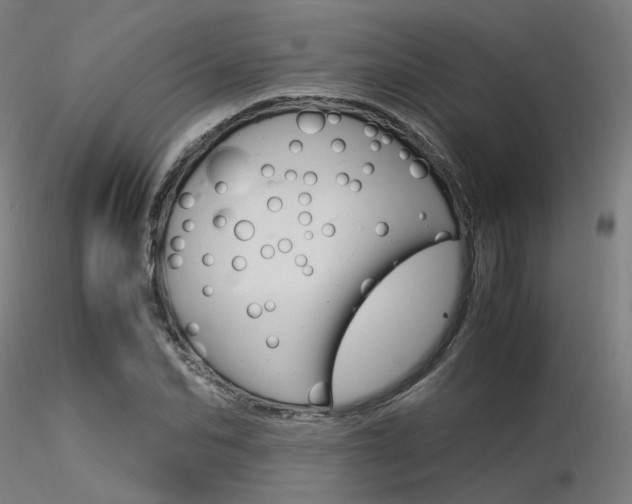 X0000116370974200912021006