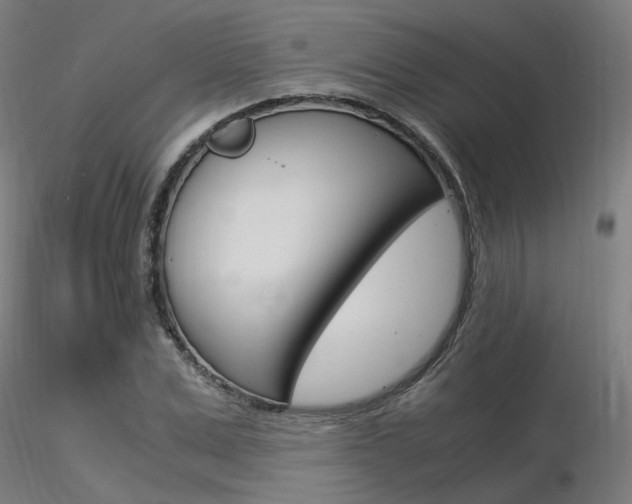 X0000116370975200912021006