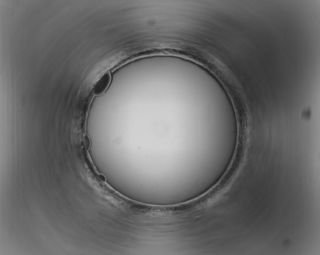 X0000116370977200912021006