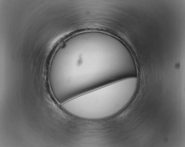 X0000116370979200912021006