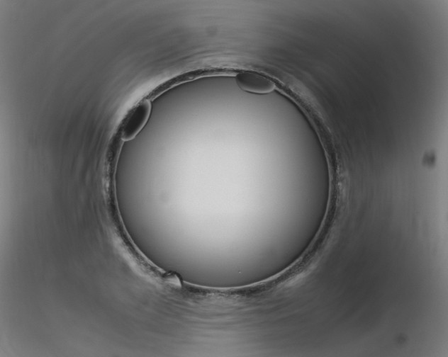 X0000116370981200912021006