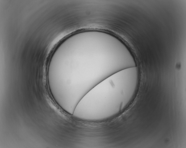 X0000116370982200912021006