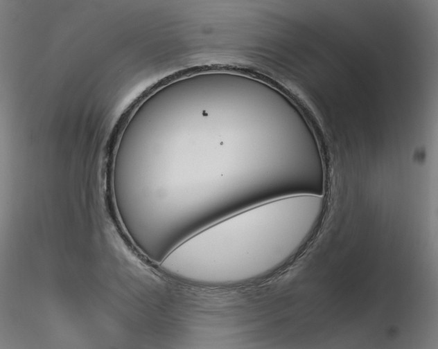 X0000116370983200912021006