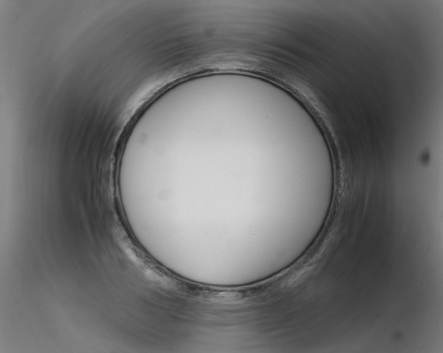 X0000116370986200912021005