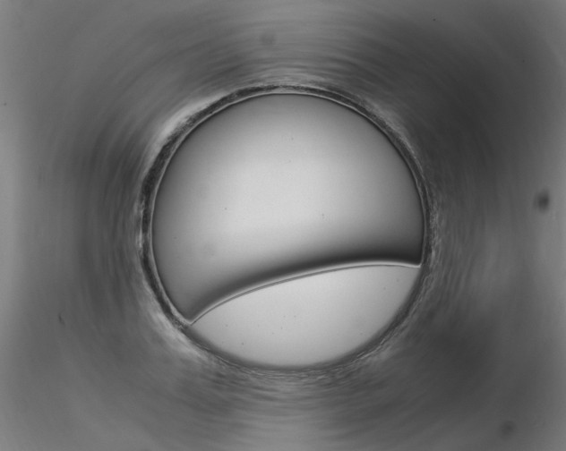 X0000116370987200912021005