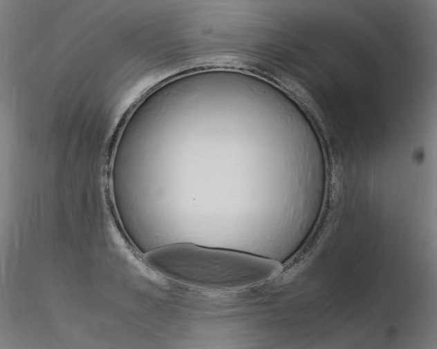 X0000116370989200912021005