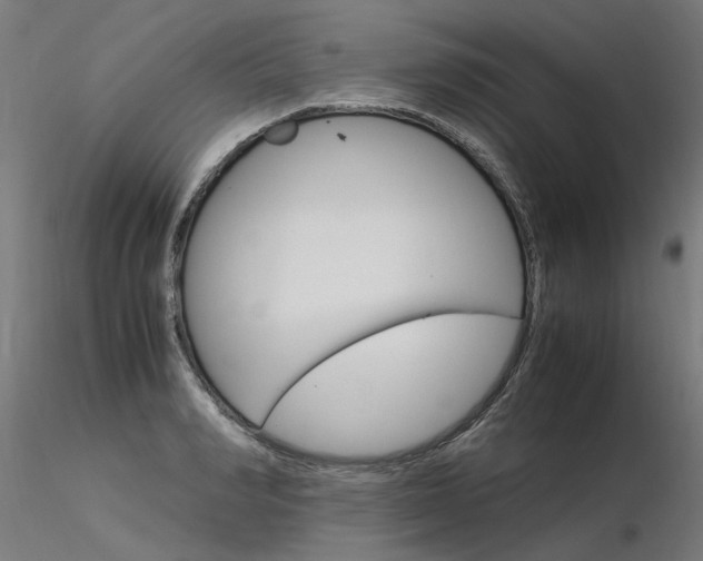 X0000116370990200912021005