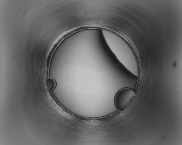X0000116370992200912021005