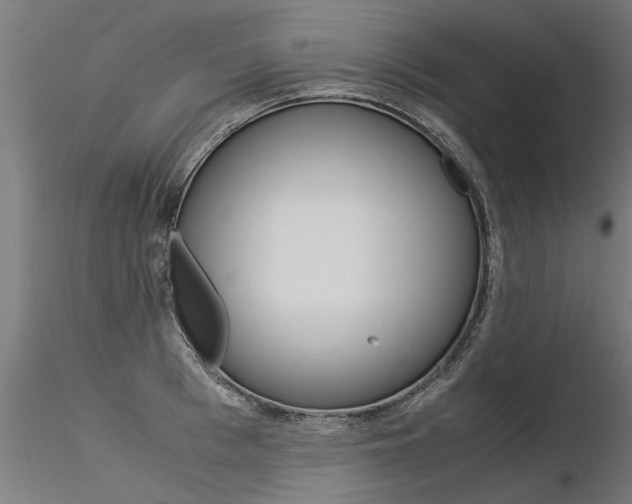 X0000116370993200912021005
