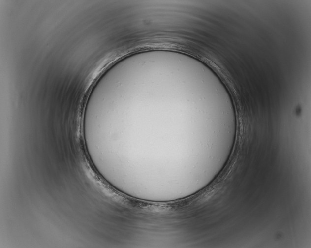 X0000116370994200912021005