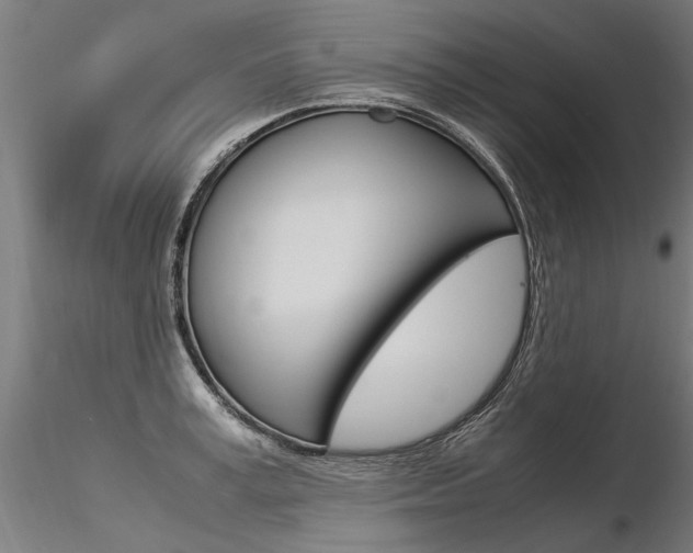 X0000116370995200912021005