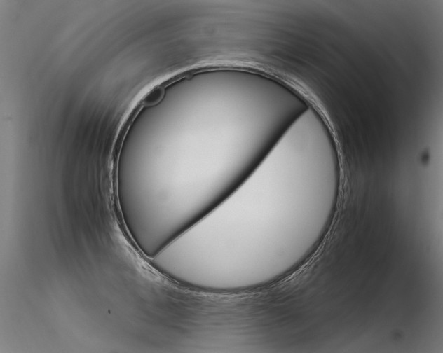 X0000116370996200912021005