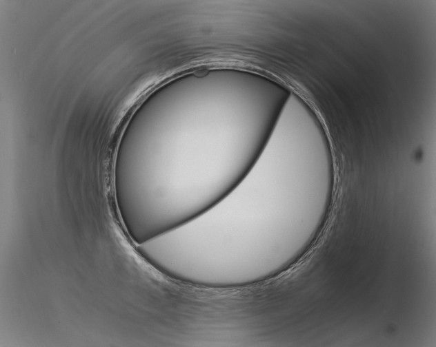 X0000116370997200912021005