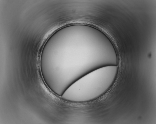 X0000116370998200912021005