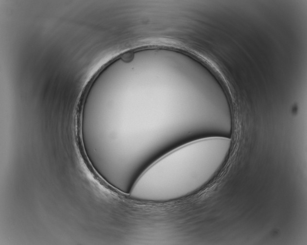 X0000116370999200912021005