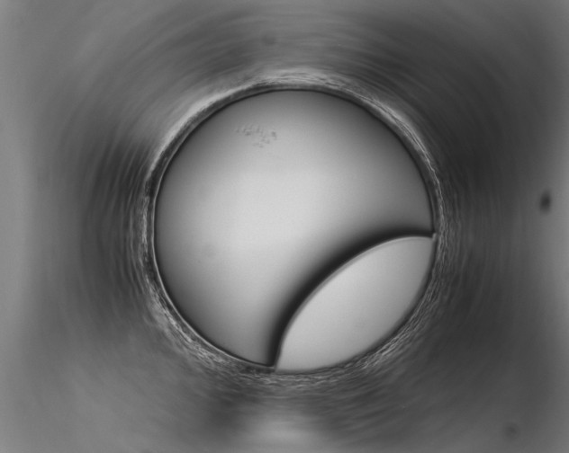 X0000116371000200912021005