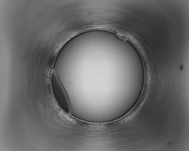 X0000116371001200912021005