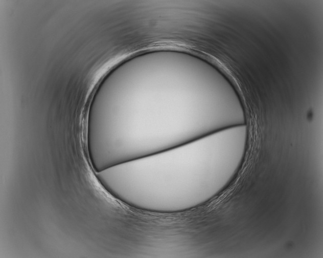 X0000116371003200912021005
