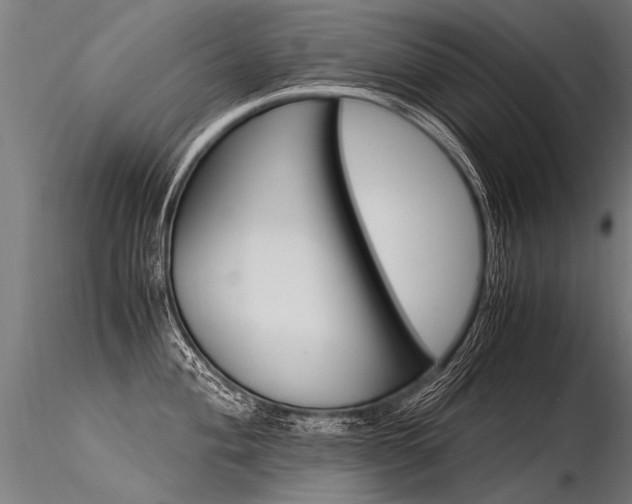 X0000116371004200912021005