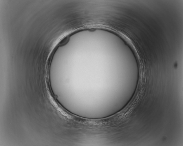X0000116371005200912021005