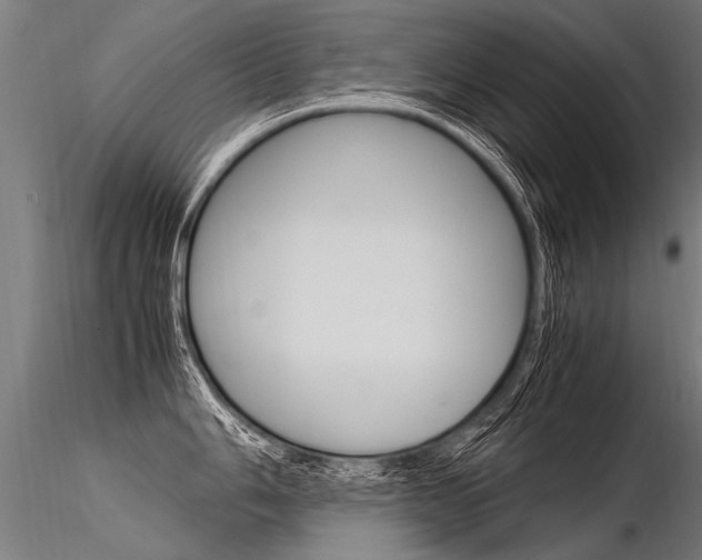 X0000116371006200912021005