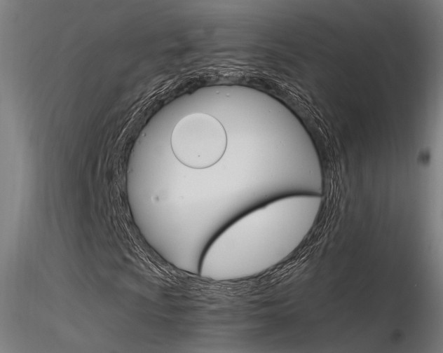 X0000116371009200912021004