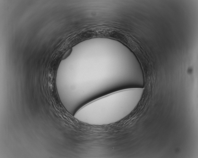 X0000116371010200912021004