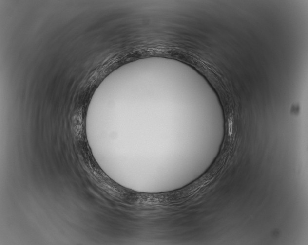 X0000116371011200912021004