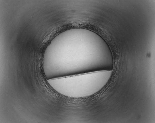 X0000116371012200912021004