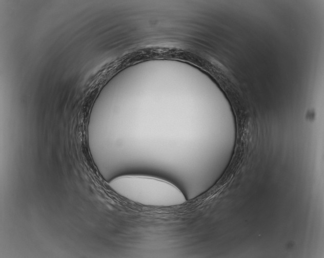 X0000116371014200912021004
