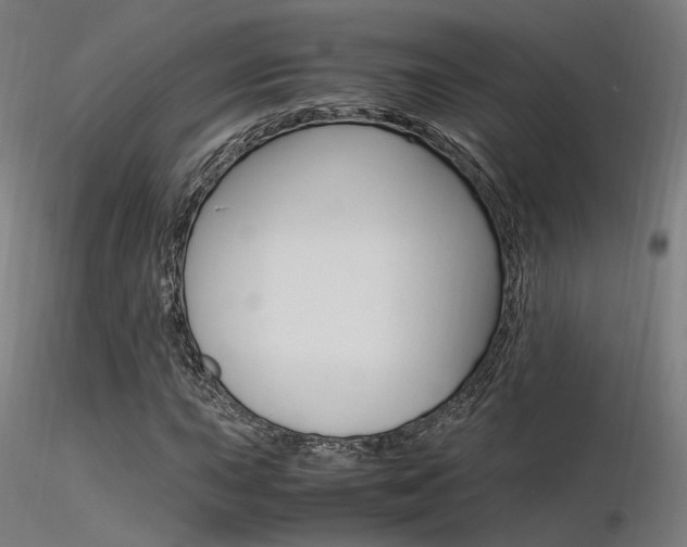 X0000116371015200912021004