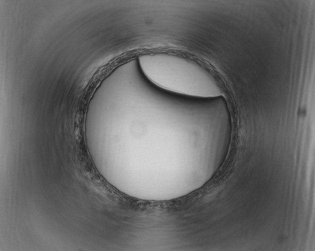 X0000116371016200912021004