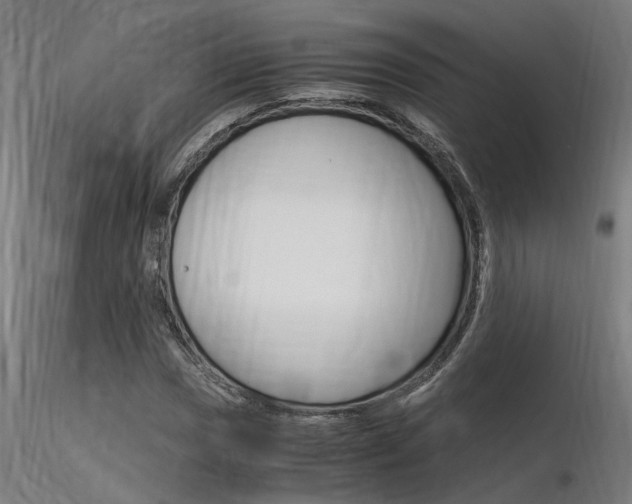 X0000116371017200912021004