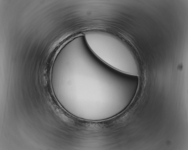 X0000116371018200912021004