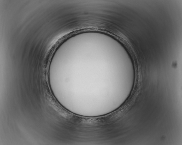 X0000116371019200912021004