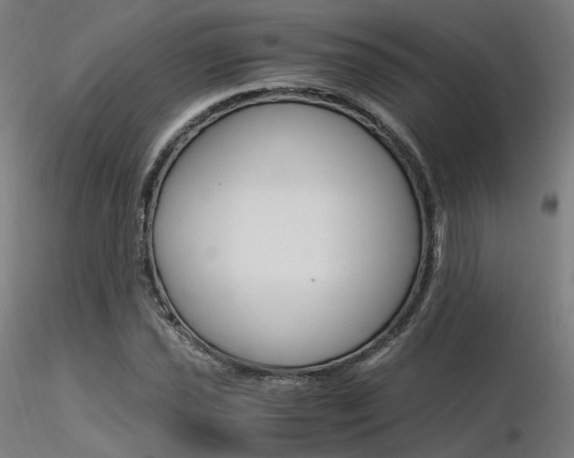X0000116371021200912021004