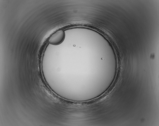 X0000116371022200912021005