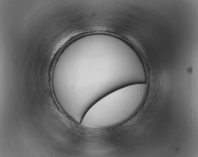 X0000116371023200912021005