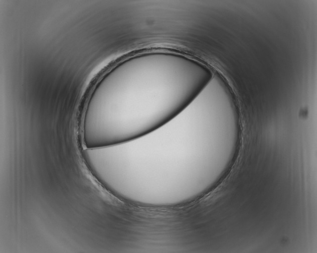 X0000116371024200912021005