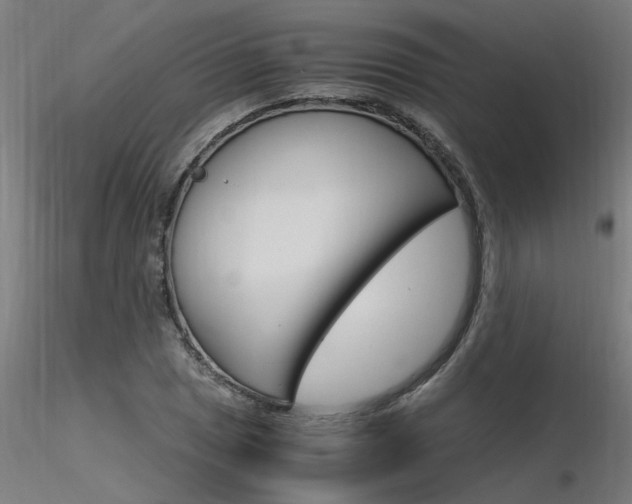 X0000116371025200912021005