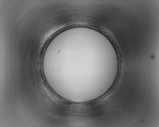 X0000116371027200912021005