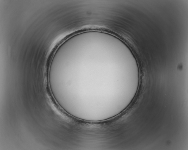 X0000116371030200912021005