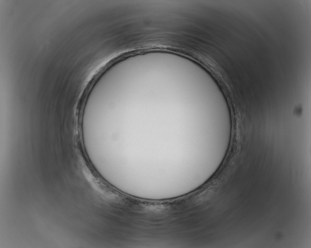 X0000116371031200912021005