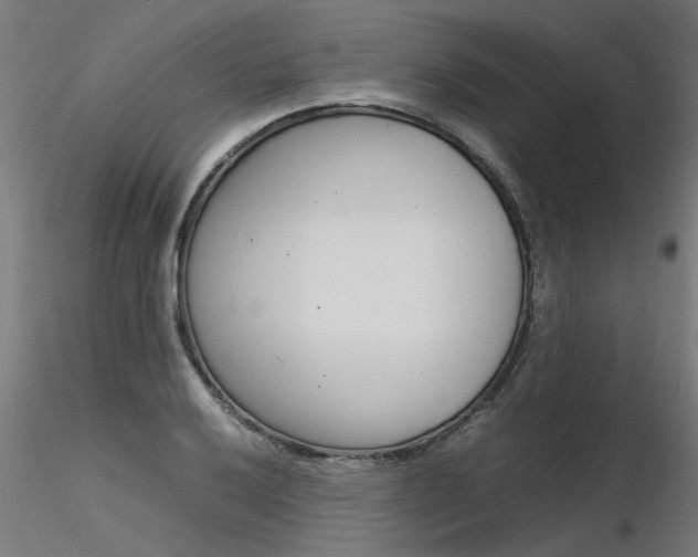 X0000116371032200912021005