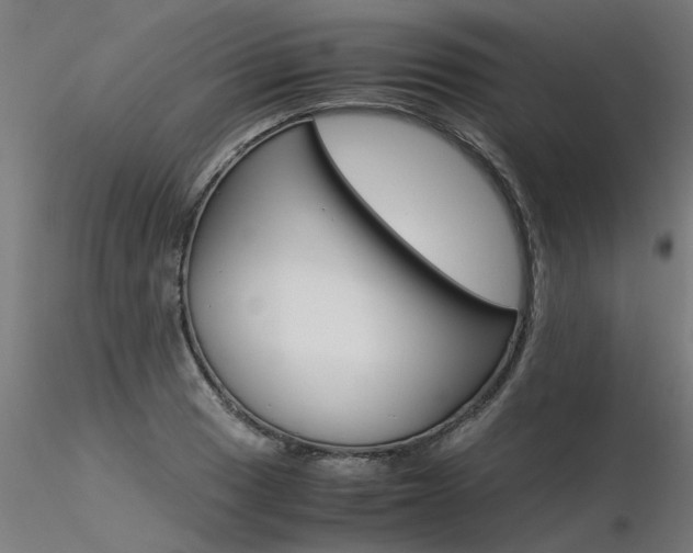 X0000116371033200912021005