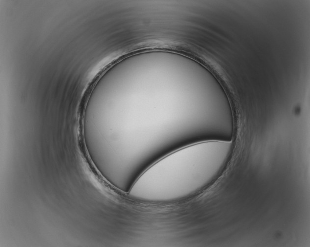 X0000116371034200912021005
